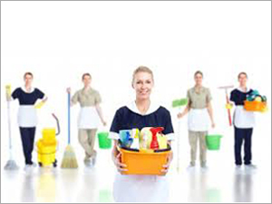 Domestic Housekeeping Services