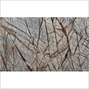 Rain Forest Brown