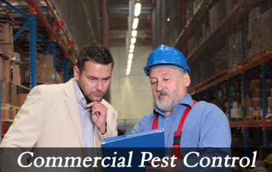 Commercial Pest Control Services - Non-Hazardous Chemicals, Comprehensive Safety Measures | Eco-Friendly, Cost-Effective, Effective Solutions, Hassle-Free Pest Prevention