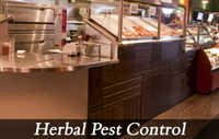 Herbal Pest Control Services