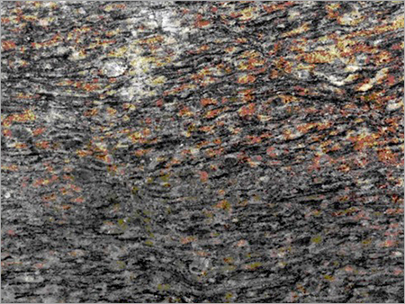 Deccan Brown Granite Deccan Brown Granite