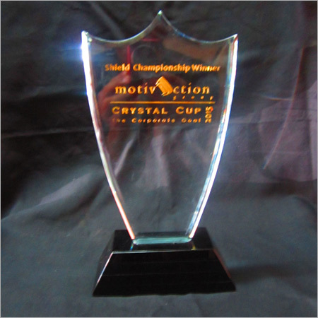 Custom Acrylic Trophy
