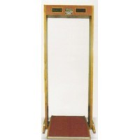 Door metal Detector