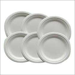 Disposable Paper Plates