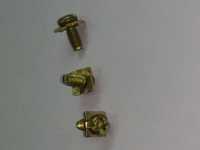 Brass philips head screw