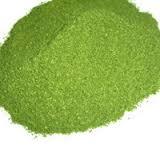Dehydrated Coriander Leaf Powder
