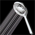 Hand Held Rain Shower