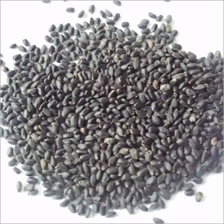 Tukmaria/Basil Seeds