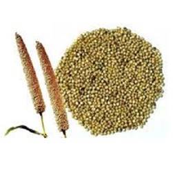 Millet