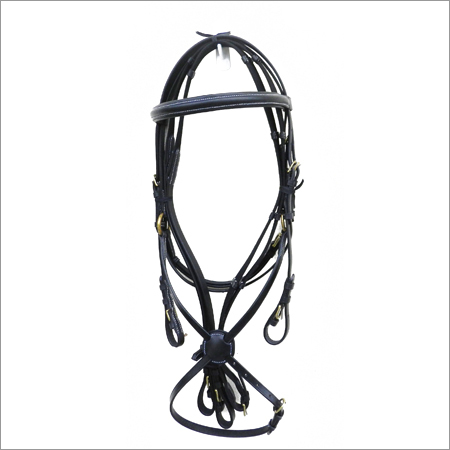English Bridle