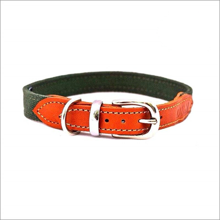 Personalized Leather Dog Collar