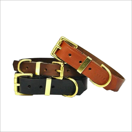 Custom Leather Dog Collar