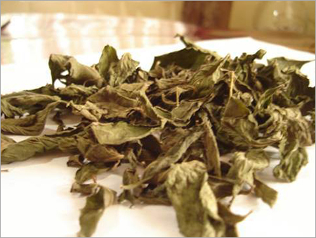 Dried Mint Leave