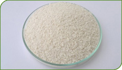 Tamsulosin MR Pellets 0.2%