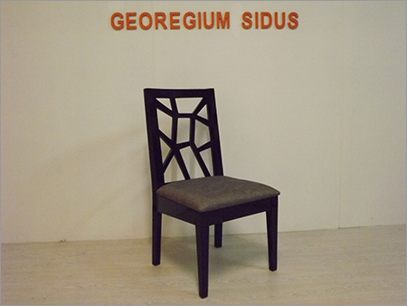 Stylish Dinning Chair