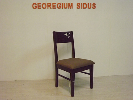 Modern Dinning Chair