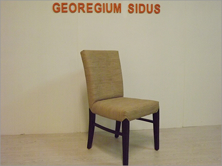 Swedish Design Dining Chair