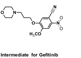 4-methoxy-5-[3-(morpholin-4-yl)propoxy]-2