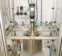Stirred Bolted Closure Reactor