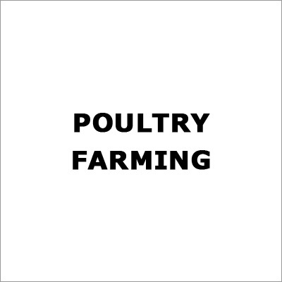 Poultry Farming Services