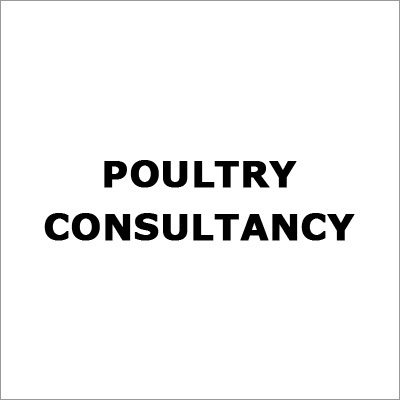 Poultry Processing Consultant