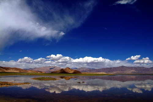 AL-MASHA TOURS AND TRAVELS