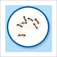 Cockroach Control Services