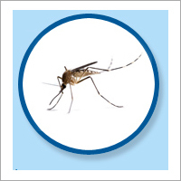 Mosquito Control Services