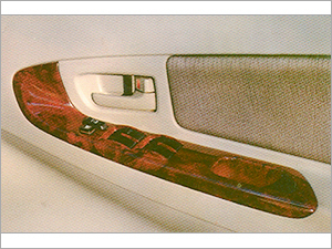 Car Door Designer Handle