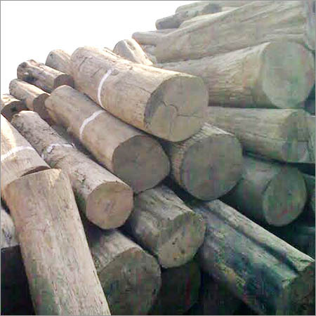 Burma Teak Logs