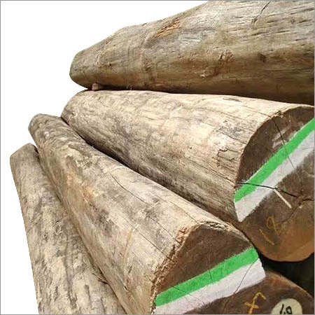 Burma Teak Wood Logs