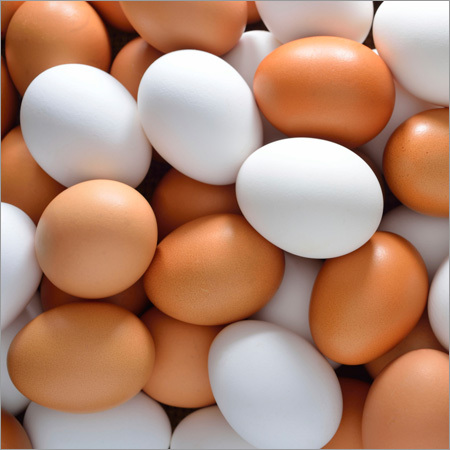 Brown Eggs