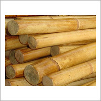 Cane Raw Materials