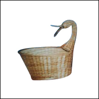 Willow Duck