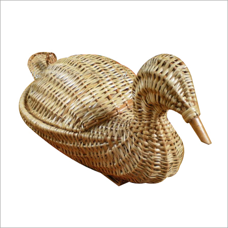 Cane Swan