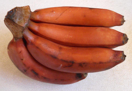 Fresh Red Banana