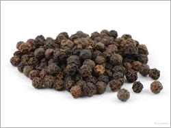 Black Pepper