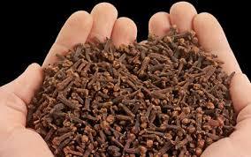 Cloves Stalks