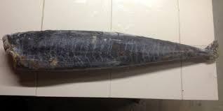 KINGFISH HEADLESS