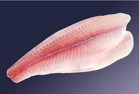 CORVINA FILLET