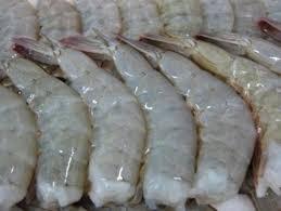 Head Less Sea Tiger Shrimps