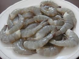 PD TO VANNAMEI SHRIMPS