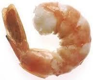 Fresh Shrimps
