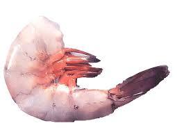 RAW HEADLESS PINK - Penaeus 10-20cm, 50-150g | Fresh, Headless, Pink, Sustainably Sourced, Bulk Packaging