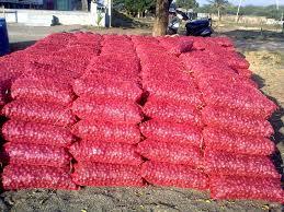 Onion Vegetable