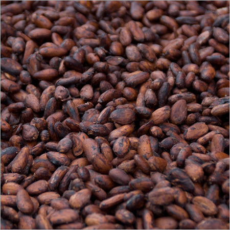 Roasted Cocoa Beans