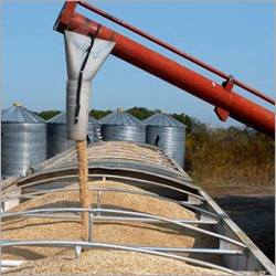 Rice Truck Load