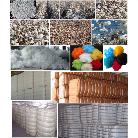 Fiber Raw Material