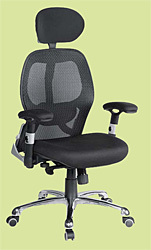 Low Back Designer Office Chairs