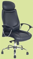 Fixed Arm Office Chair